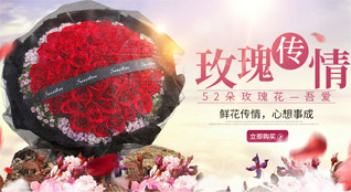河南南阳卧龙区青华镇上徐寨村鲜花速递